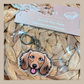 Dachshund Cream