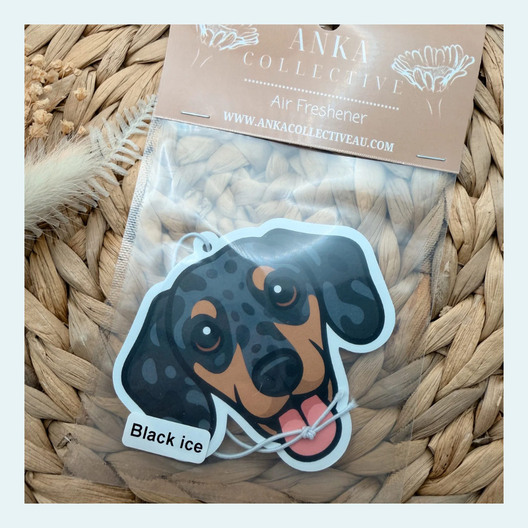 Dachshund Dapple
