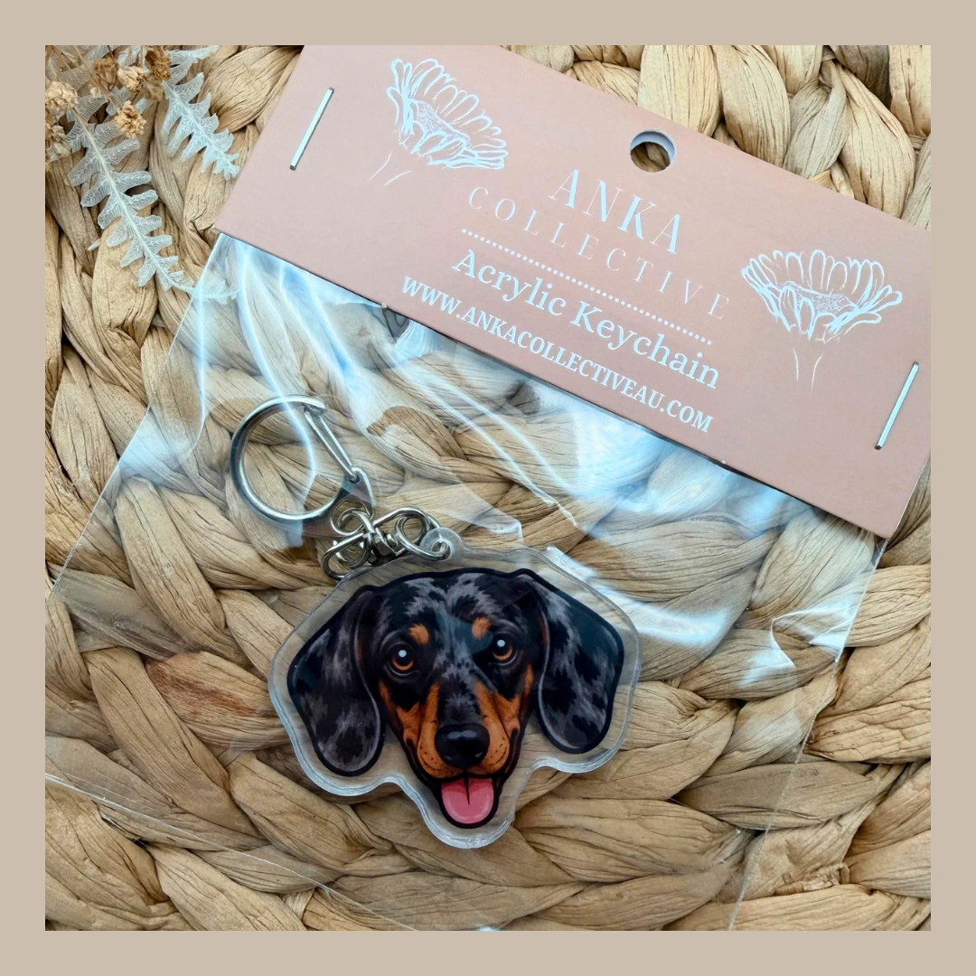 Dachshund Dapple