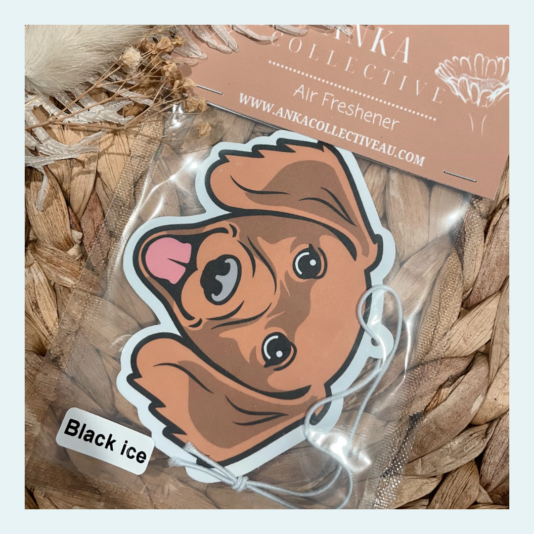 Dachshund Fluffy Brown