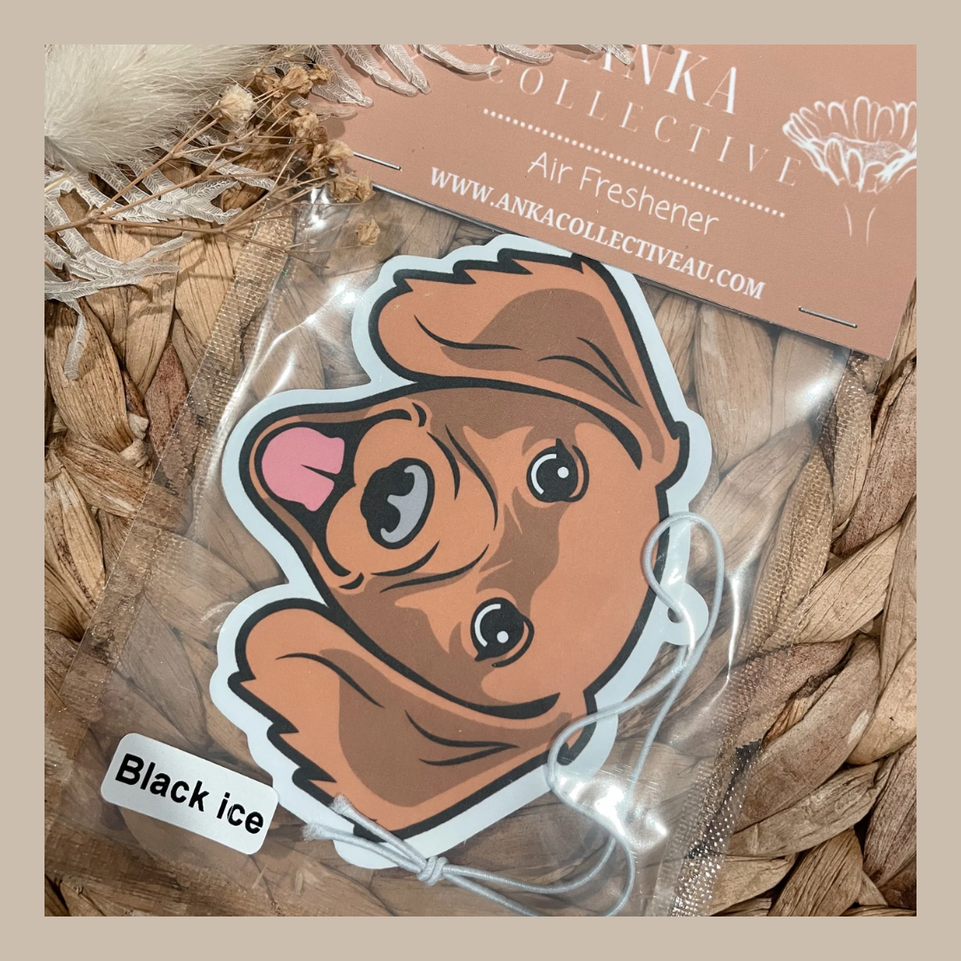 Dachshund Fluffy Brown