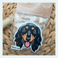 Dachshund Long Hair Black