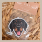 Doberman 2.0