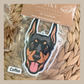 Doberman
