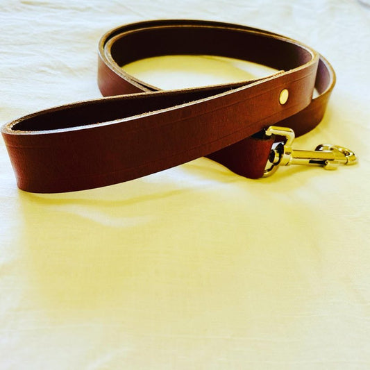 Leather Dog Leads