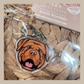 Dogue de Bordeaux/French Mastiff
