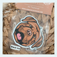 Dogue de Bordeaux/French Mastiff