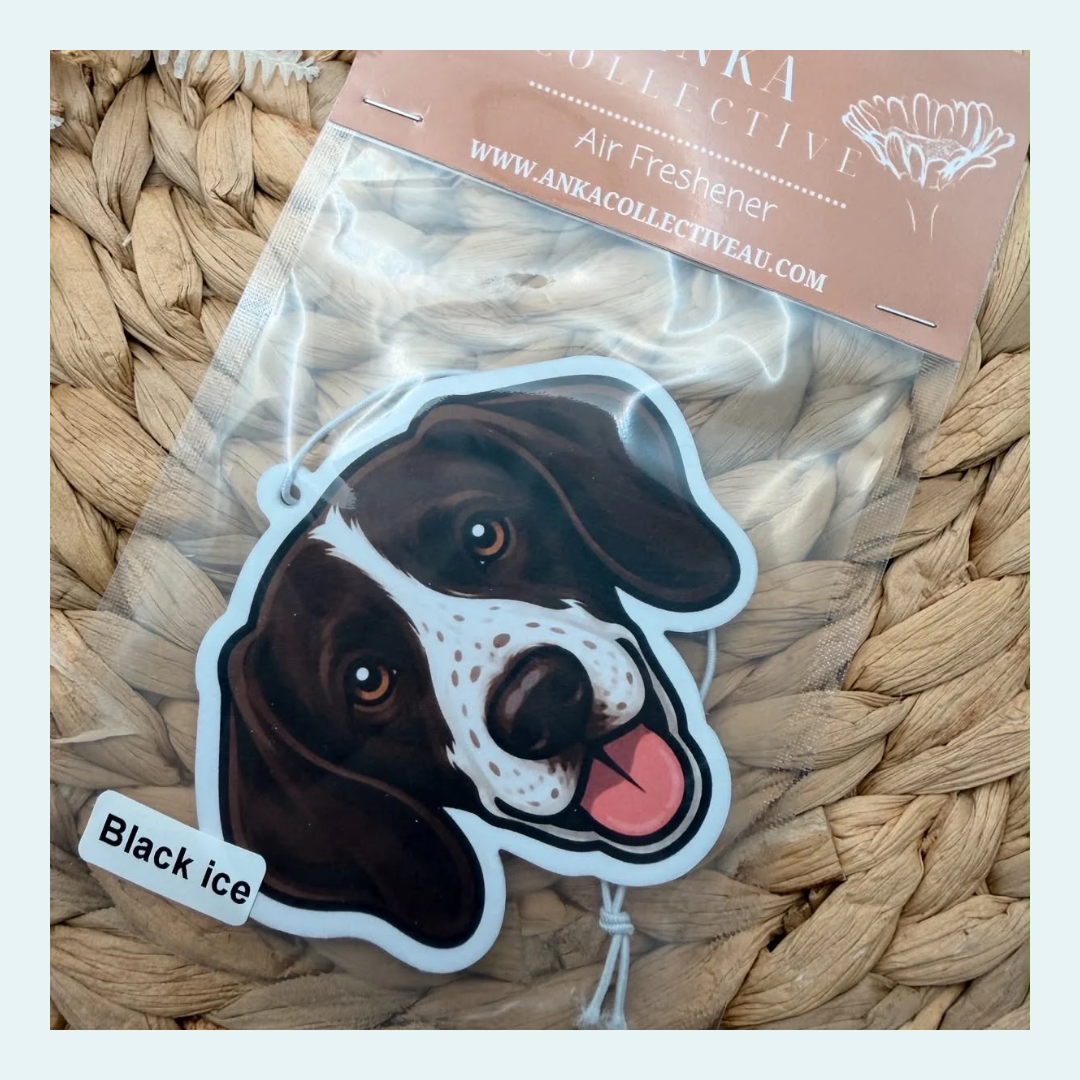 English Pointer
