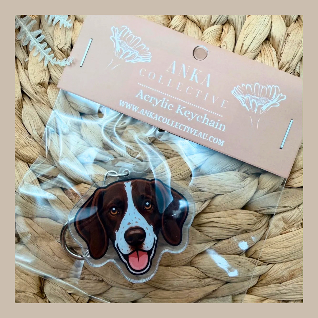English Pointer