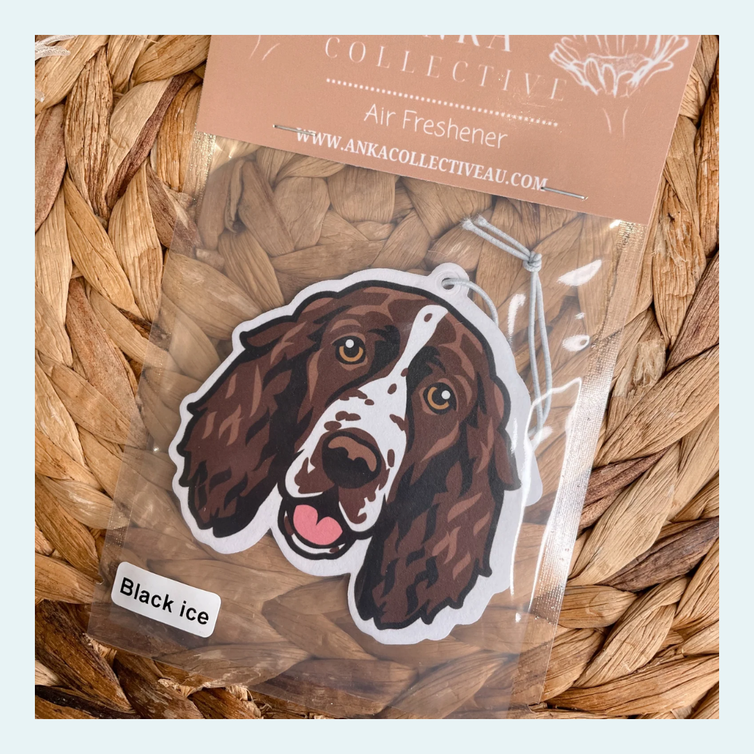 English Springer Spaniel