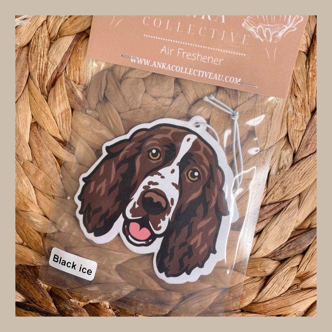 English Springer Spaniel