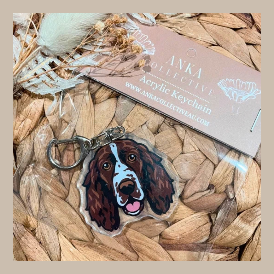 English Springer Spaniel
