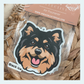 Finnish Lapphund