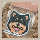Finnish Lapphund