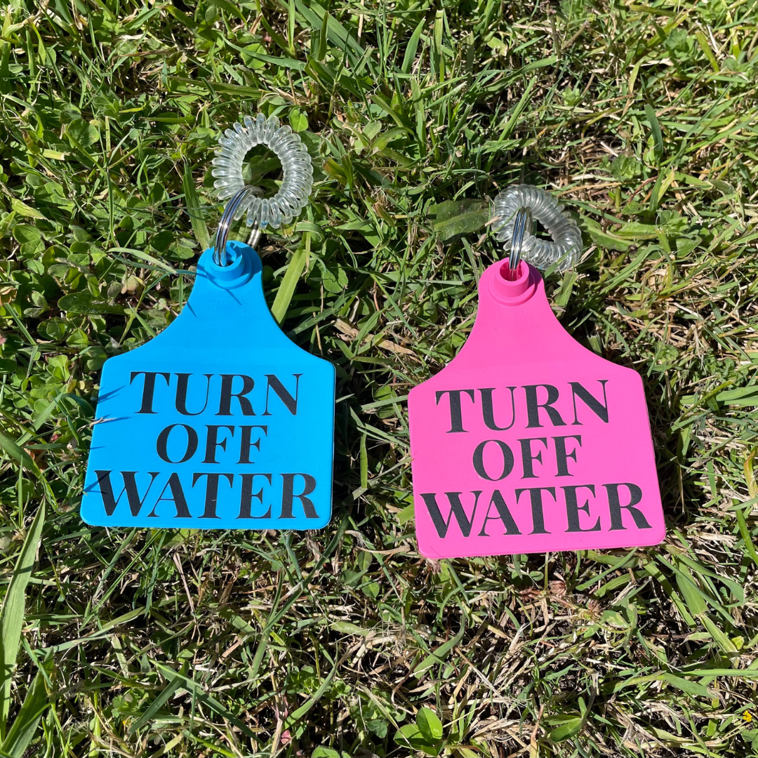 Horse Treats & Accessories
