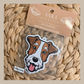 Fox Terrier