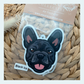 French Bulldog Black