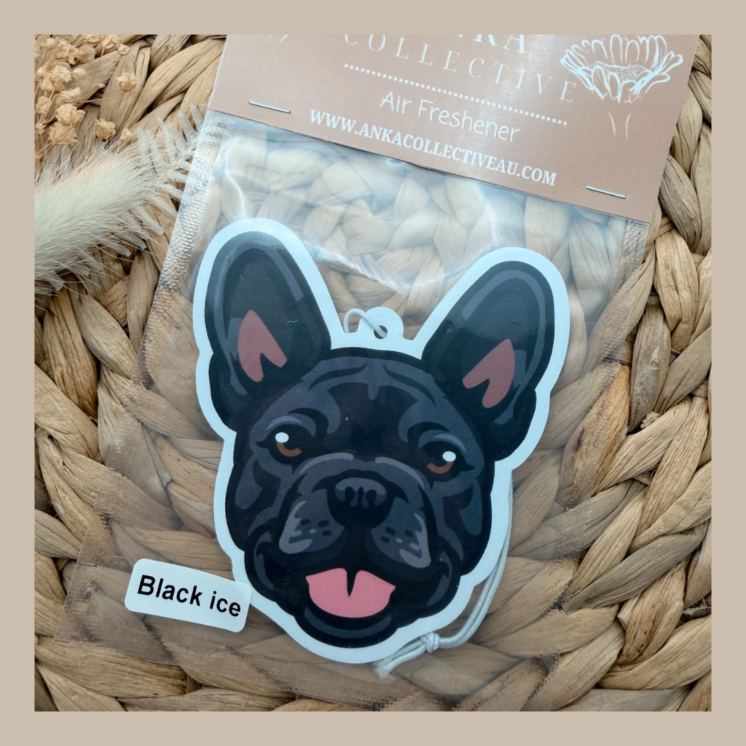 French Bulldog Black