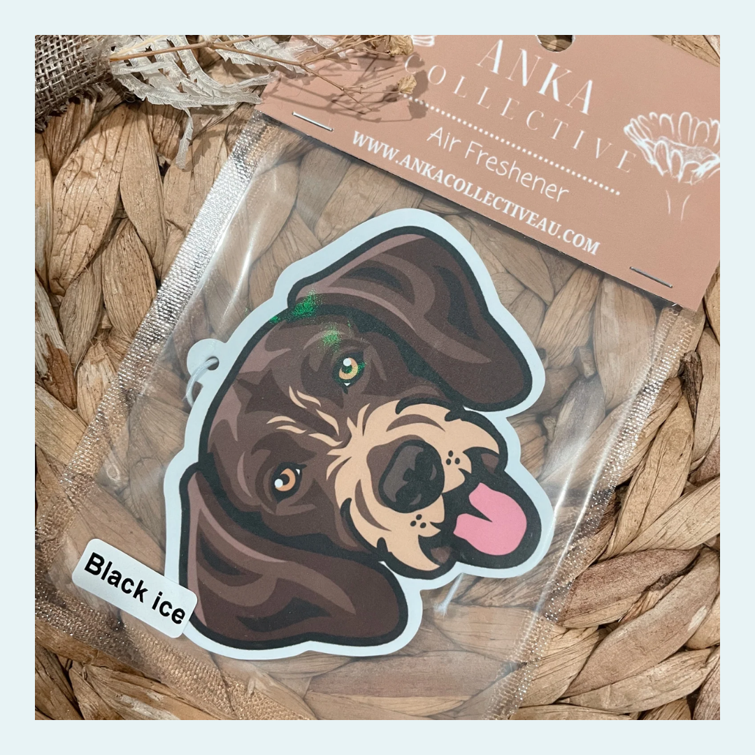 German Longhaired Pointer