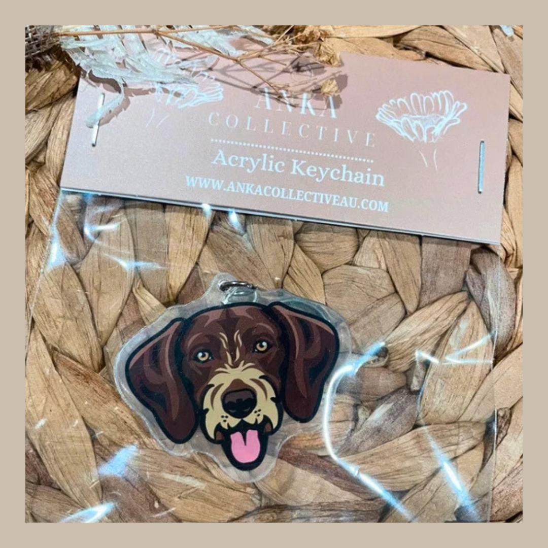 German Longhaired Pointer