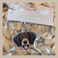 German Longhaired Pointer
