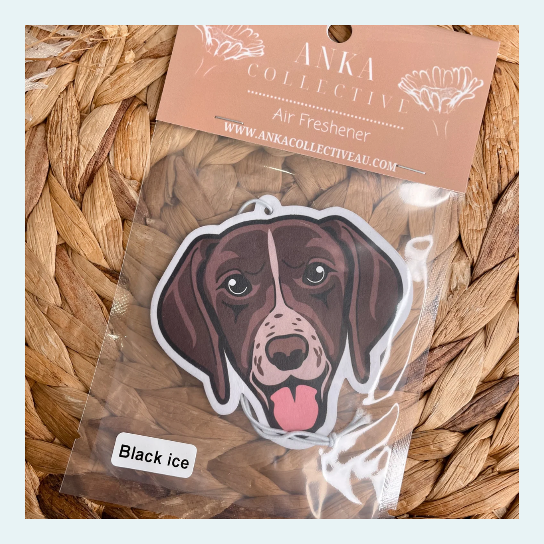German Pointer