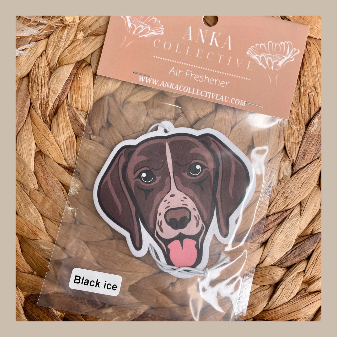 German Pointer