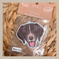 German Pointer