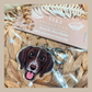 German Pointer