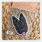 German Shepard Black