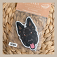 German Shepard Black