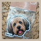 Golden Doodle