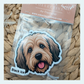 Golden Doodle