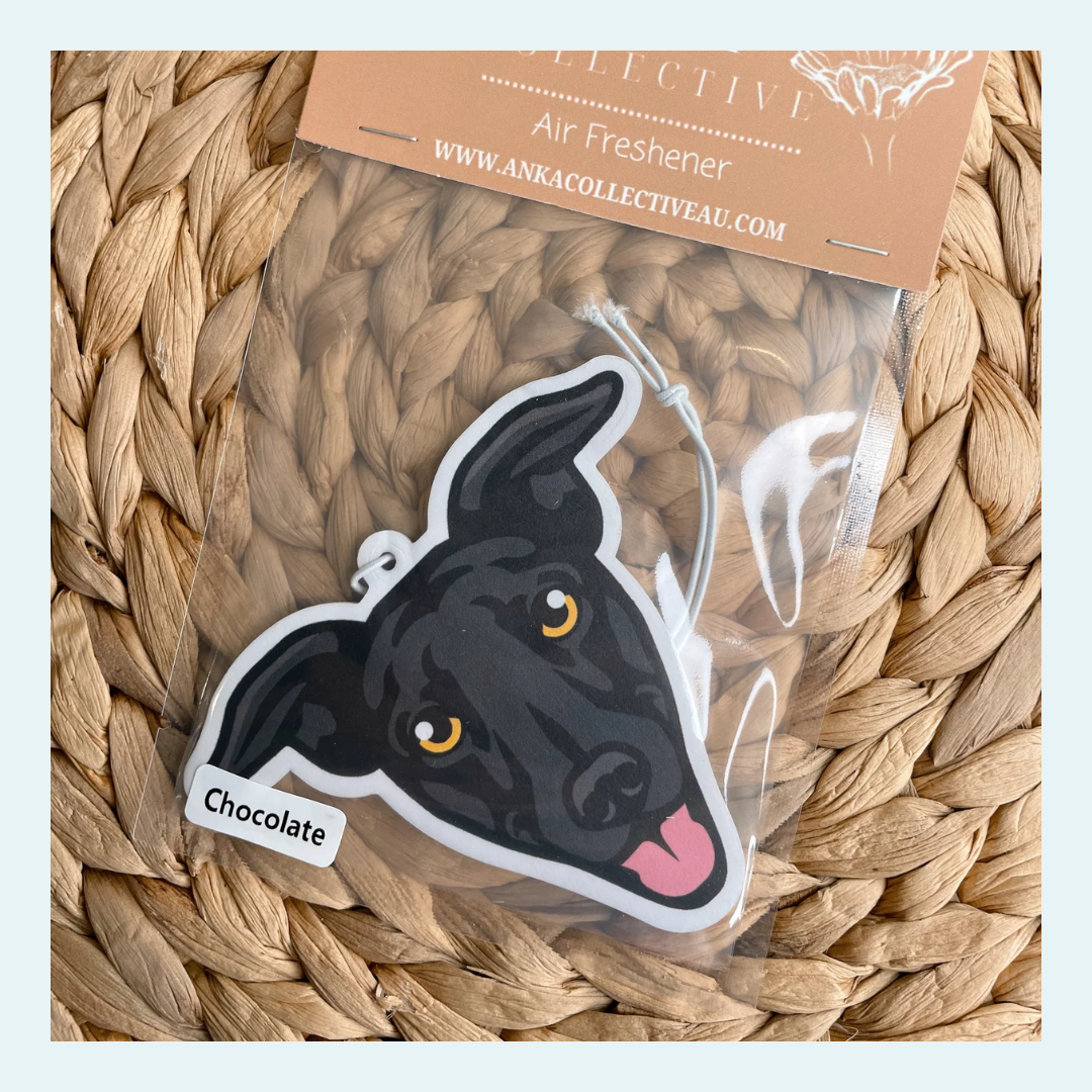 Greyhound Black