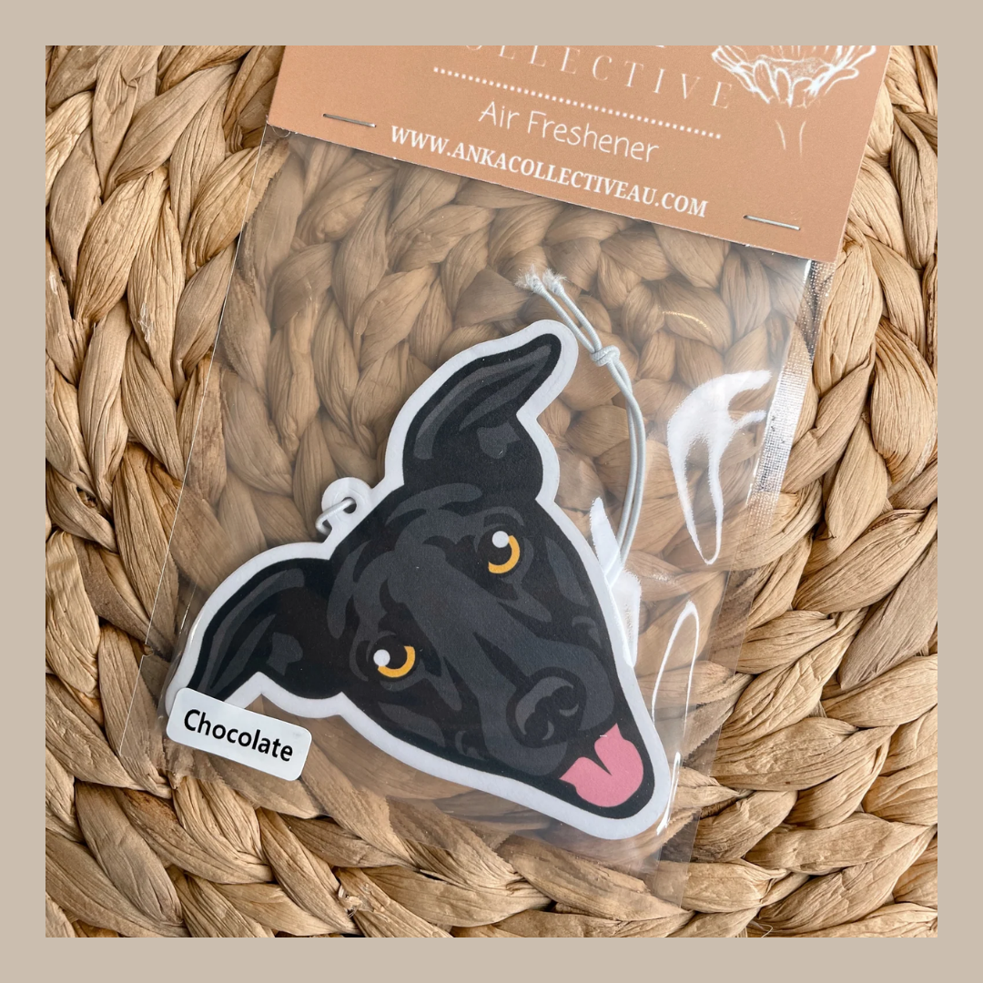 Greyhound Black