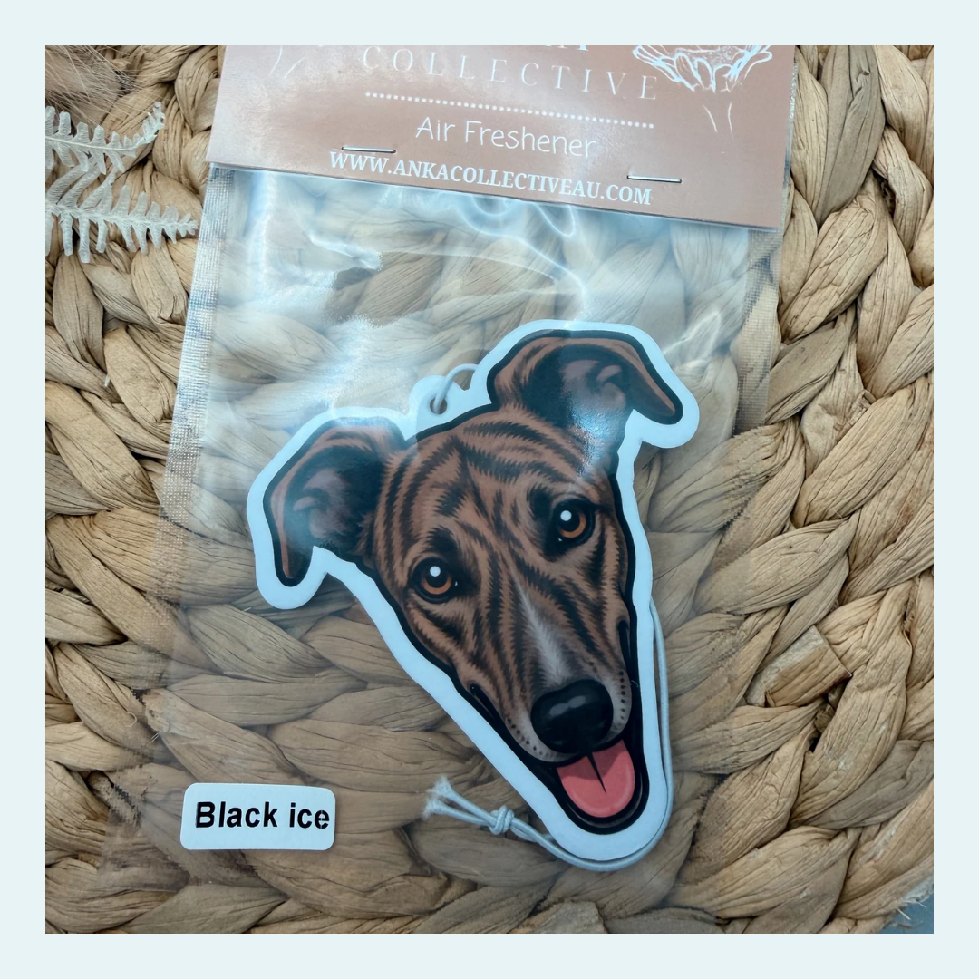 Greyhound Brindle
