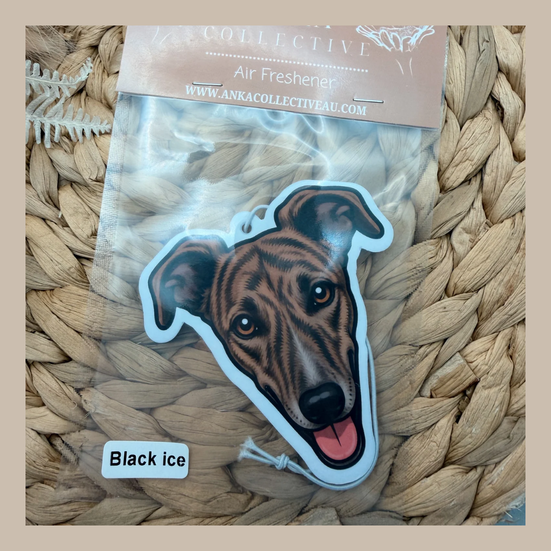 Greyhound Brindle