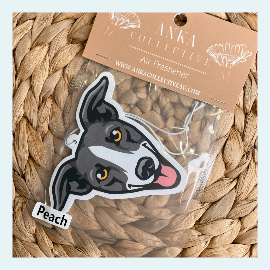Greyhound Grey & White
