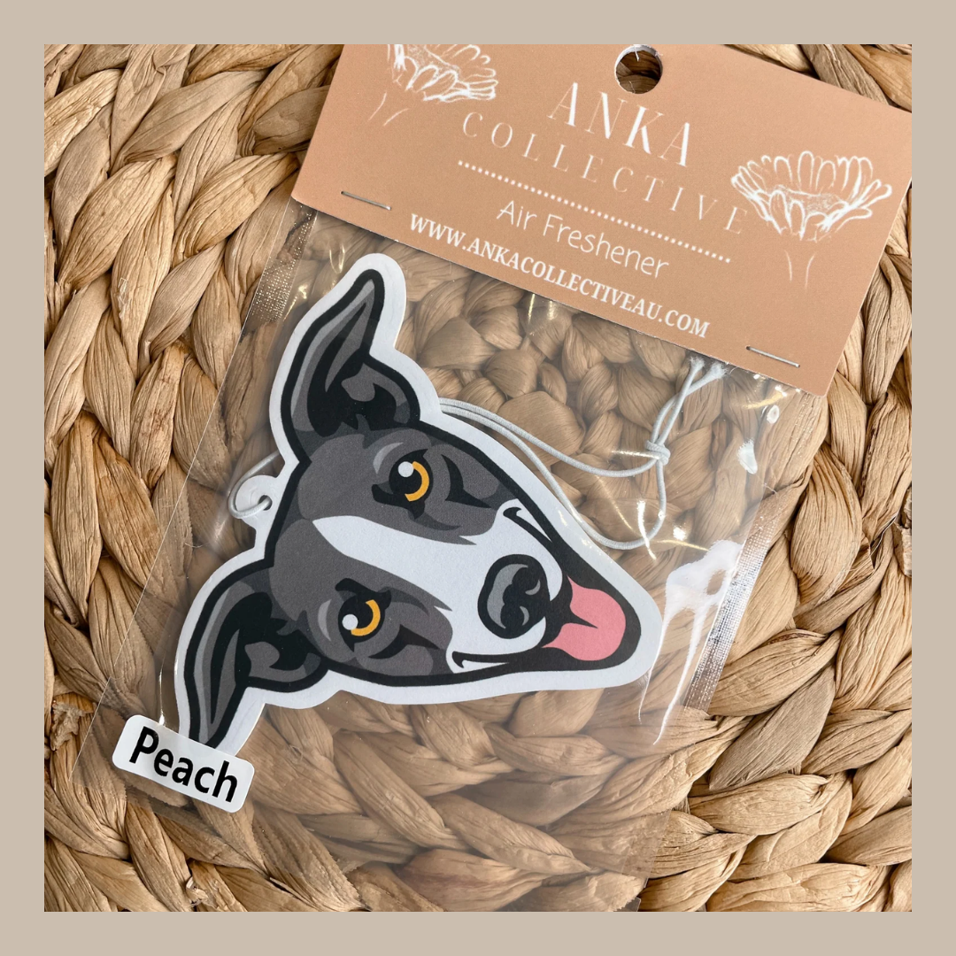 Greyhound Grey & White