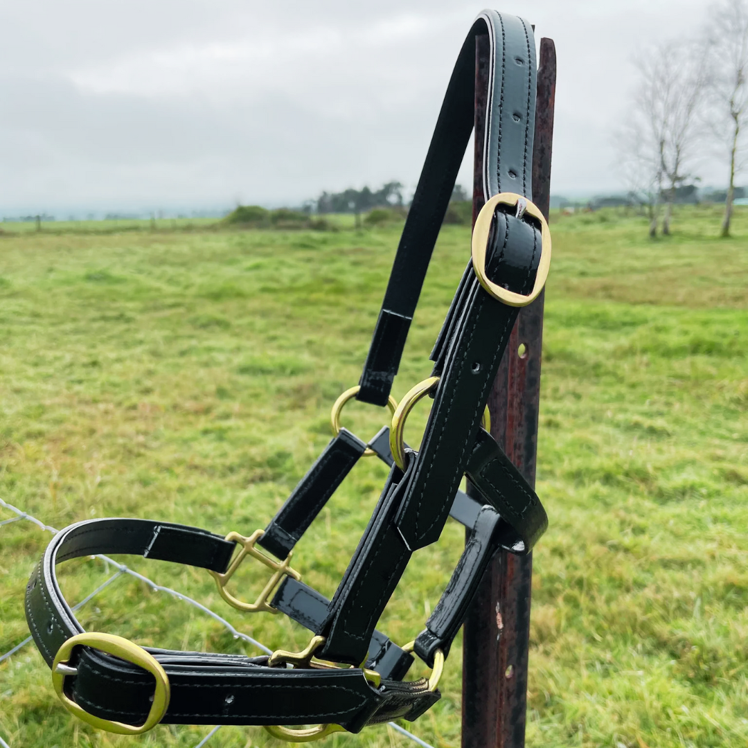 Pvc Halters Bundle: Horse Halters – My PVC