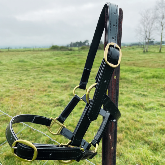 Bundle: Horse Halters