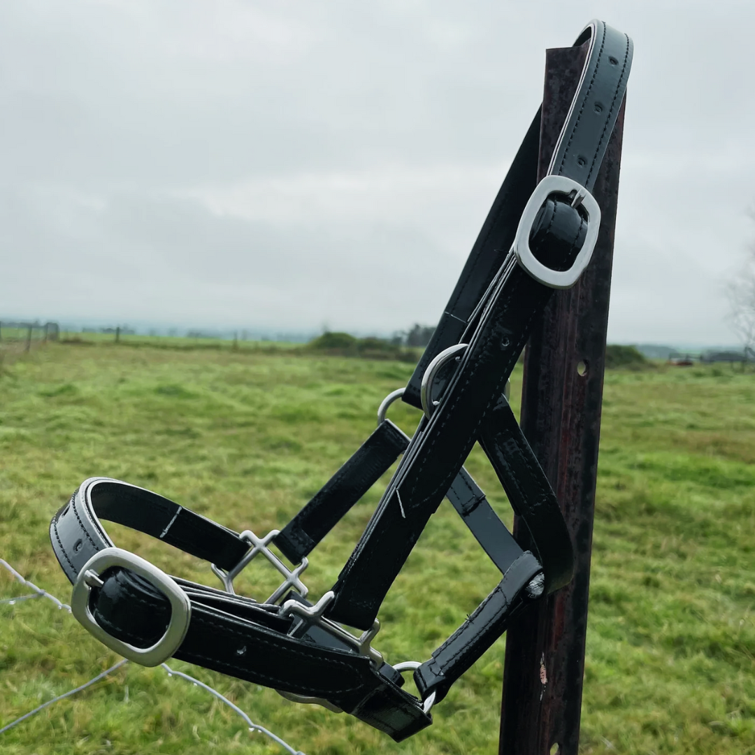 Horse Halters