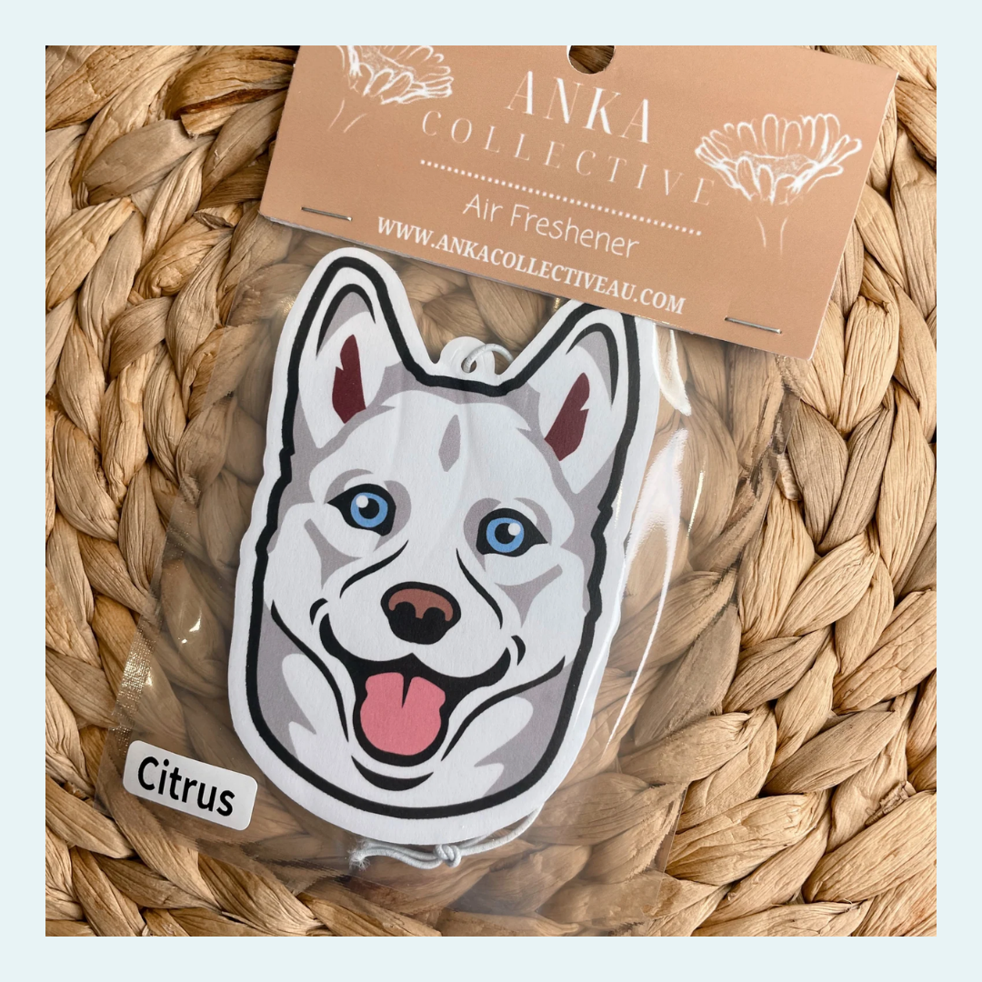Husky White