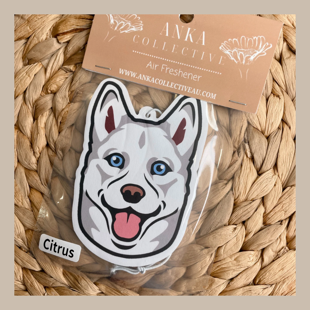 Husky White