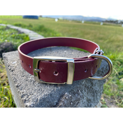 Dog Collar - 25mm wide, Medium Large (with keeper)