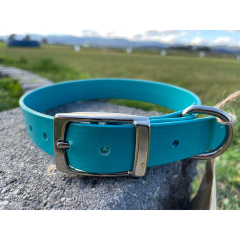 Dog Collar - 25mm wide, Medium - Turquoise