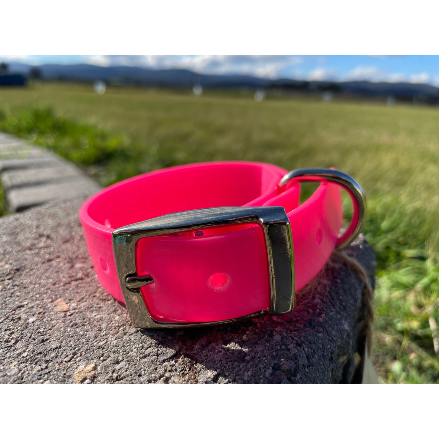 Dog Collar - 25mm wide, XX Small