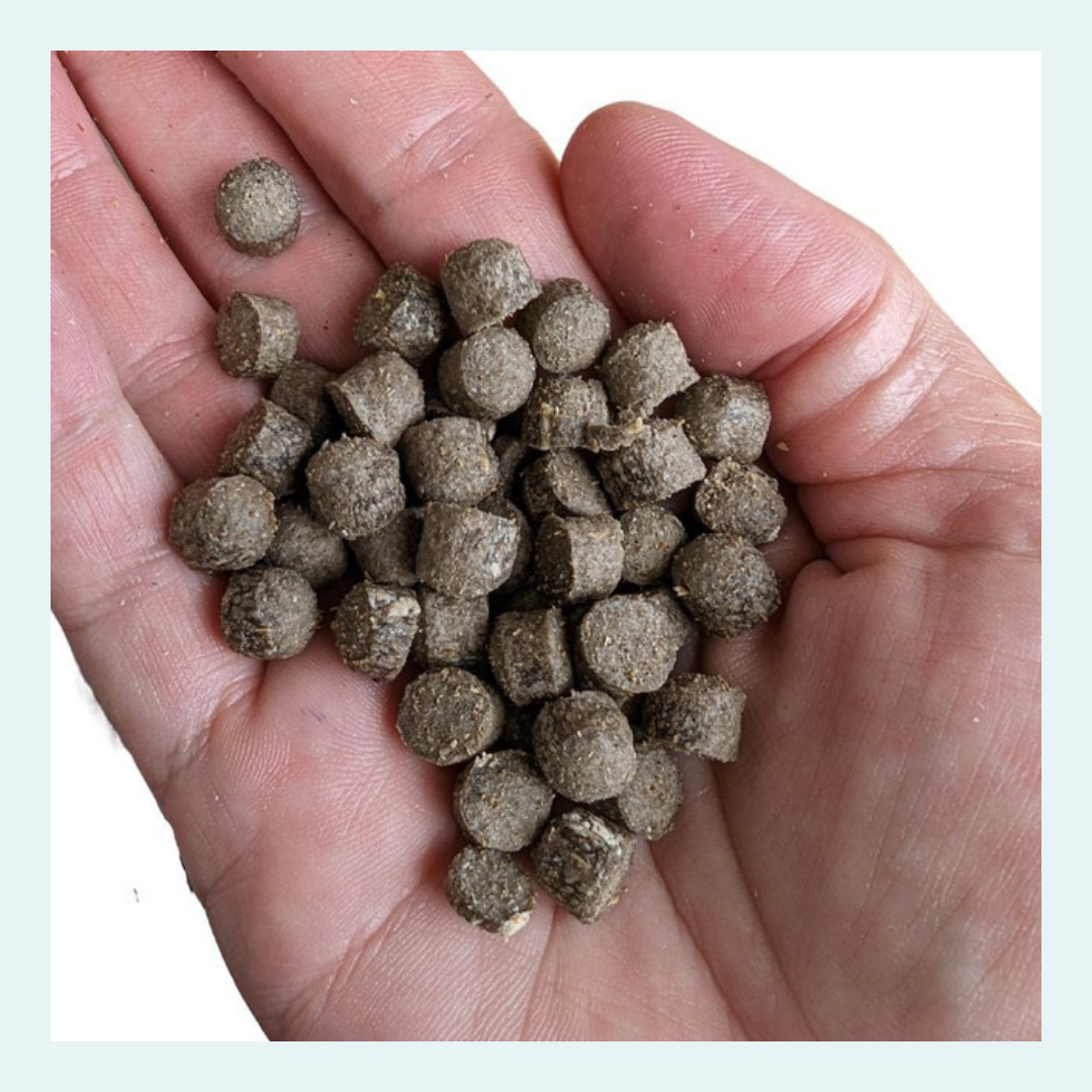 Little Insect Bites