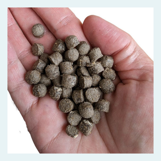 Little Insect Bites