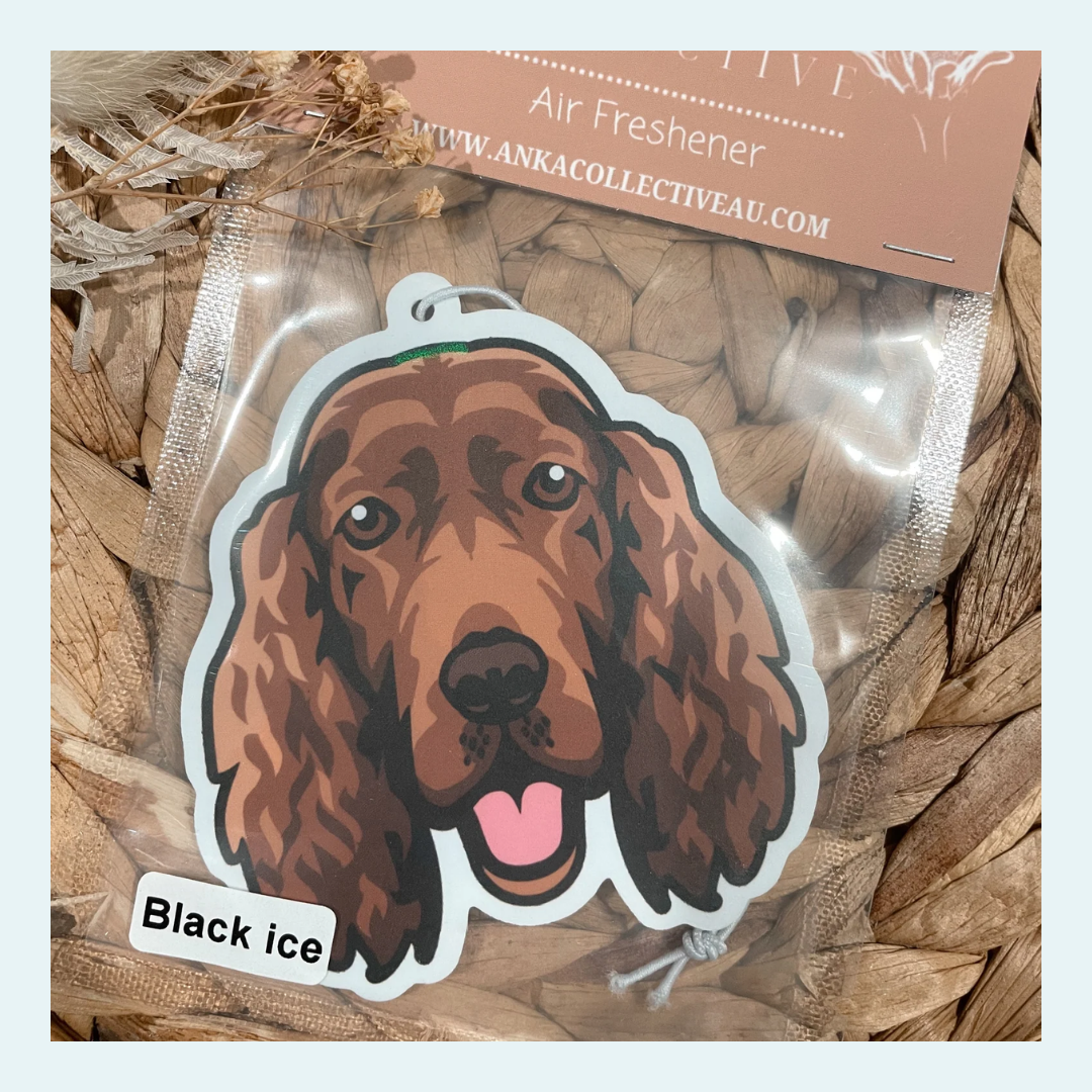 Irish Setter